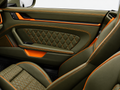 TÜRVERKLEIDUNGEN LEDER/ALCANTARA